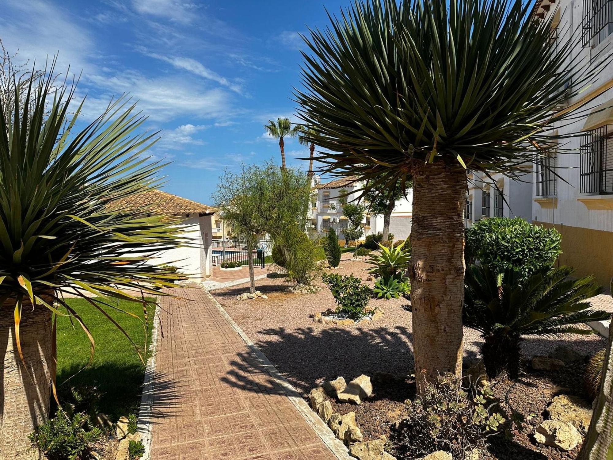 Las Carolinas Residence With Pool San Miguel De Salinas Extérieur photo